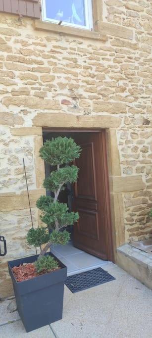 Le Gite Des Pierres Dorees Marcilly-d'Azergues 外观 照片